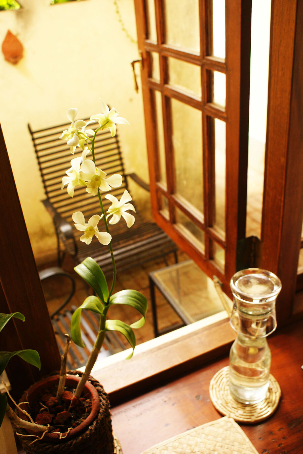 The Havelock Place Bungalow Colombo Exterior photo